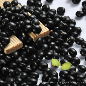 Feijão preto com origem de grãos verdes na China